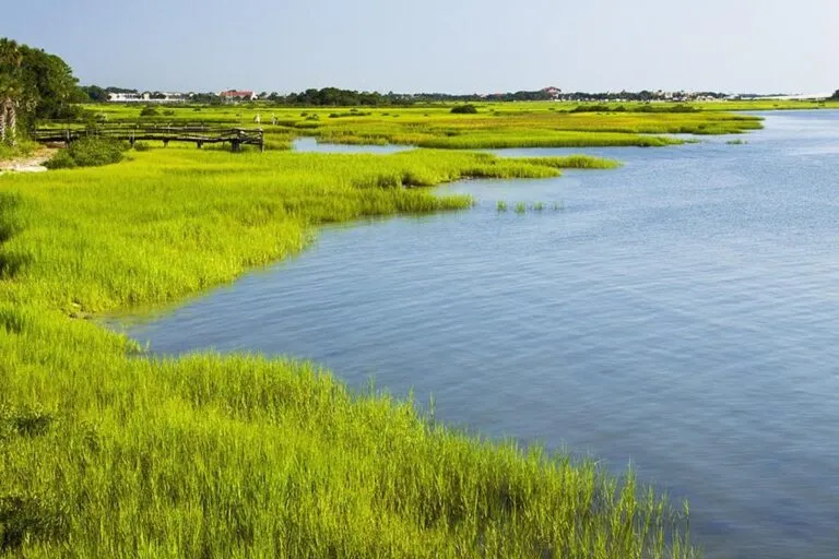 Deterioro de los humedales en el mundo: la problemática en más de 170 países