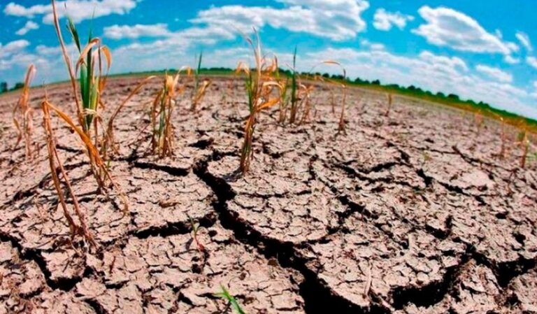 Quitan recursos a partida contra cambio climático en 2025