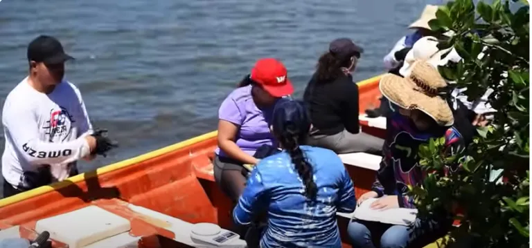 Té de agua salada’, un documental que habla sobre cómo proteger el mar con la pesca sostenible