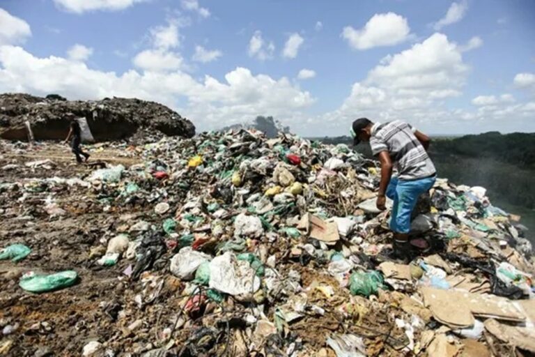 Economía circular: la segunda y tercera vida de los residuos