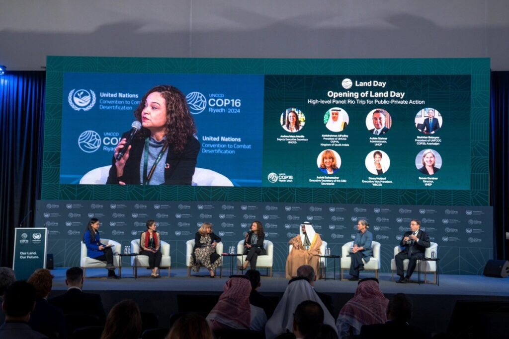 La COP29 o el espejismo de la cooperación internacional