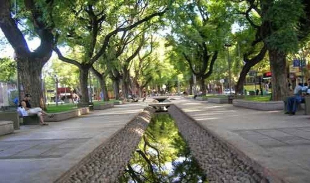 Mendoza, una ciudad bosque en el desierto gracias a las acequias urbanas
