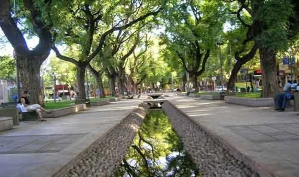 Mendoza, una ciudad bosque en el desierto gracias a las acequias urbanas