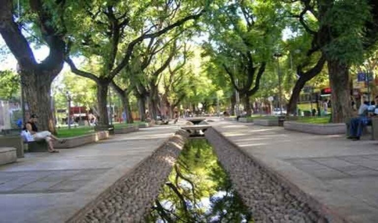 Mendoza, una ciudad bosque en el desierto gracias a las acequias urbanas