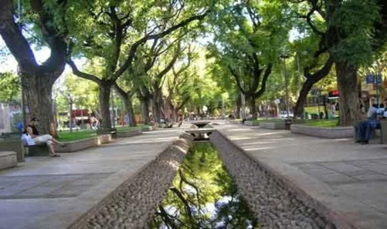 Mendoza, una ciudad bosque en el desierto gracias a las acequias urbanas