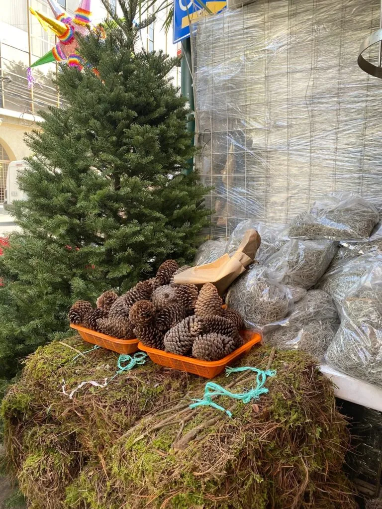 Por qué debes evitar el uso de musgo y heno para decorar en Navidad