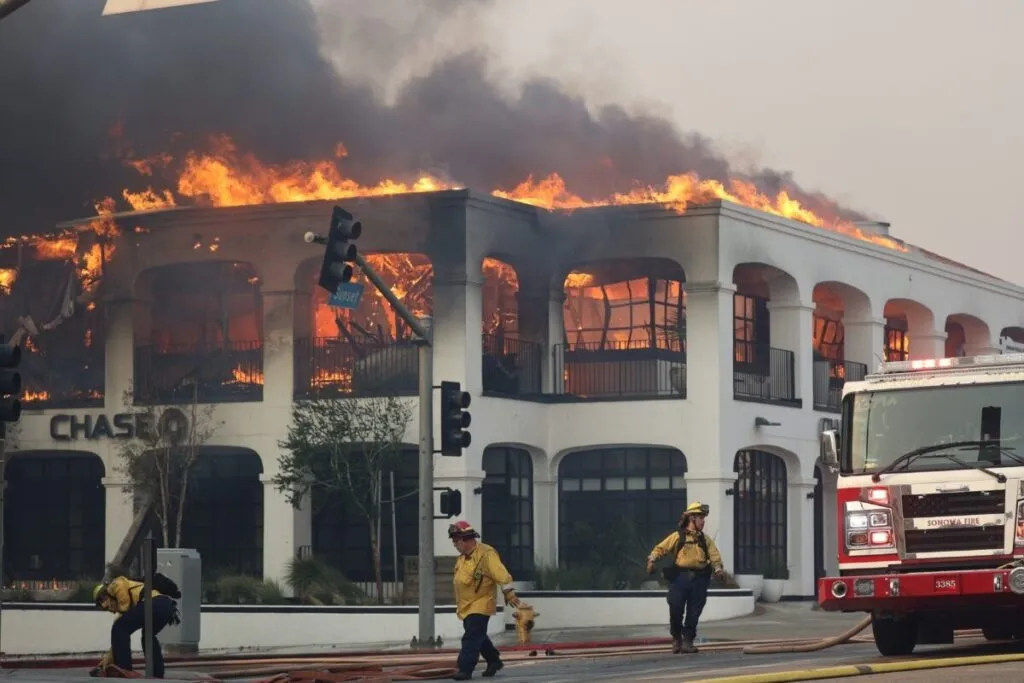 Cambio climático incide en buen porcentaje condiciones que provocaron incendios de L.A.