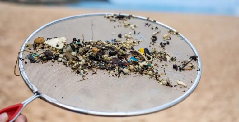 Desarrollan modelo para detectar microplásticos en el mar