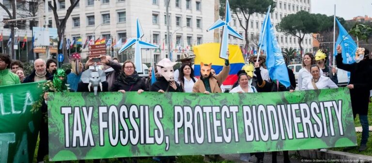 COP16 adopta plan contrarreloj para financiar biodiversidad