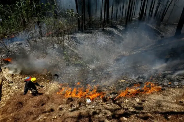 Sudamérica rompió varios récords en 2024 en temperaturas