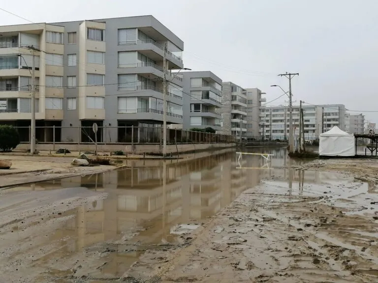 Greenpeace alerta de que construcción de condominio amenaza playa y humedal en Chile