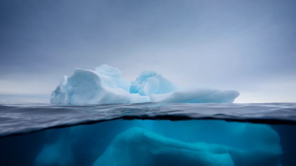 Descubren ecosistema marino intacto tras el desprendimiento de iceberg gigante en la Antártida
