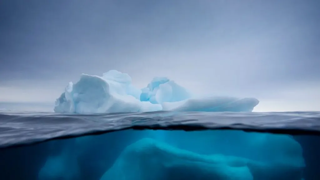 Descubren ecosistema marino intacto tras el desprendimiento de iceberg gigante en la Antártida
