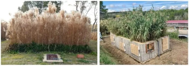 Desarrollan tecnología eficaz y barata para que pequeñas poblaciones limpien sus aguas