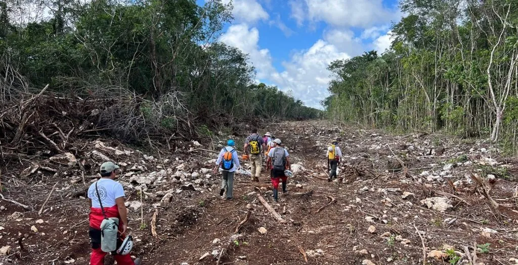 Gobierno reconoce, cinco años después, daños ecológicos por la construcción del Tren Maya