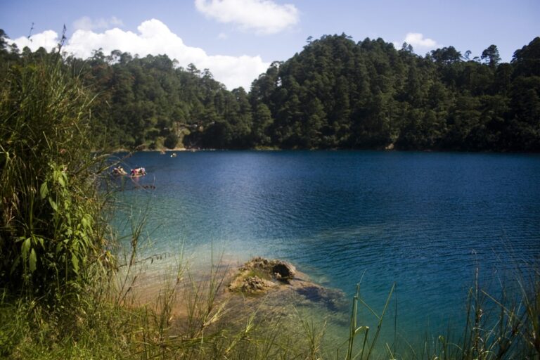 Olas de calor aceleran la desoxigenación global de los lagos
