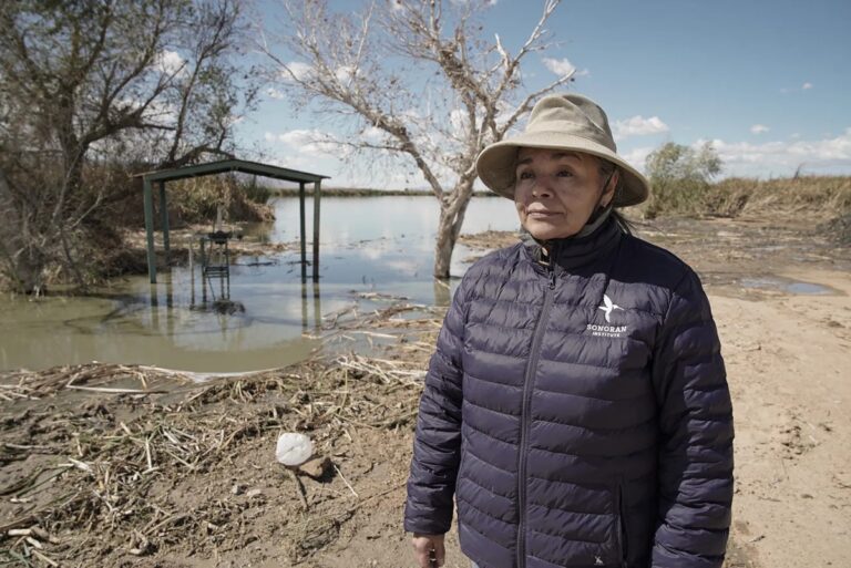 Humedal artificial reutiliza aguas negras de Mexicali para revivir un ecosistema perdido
