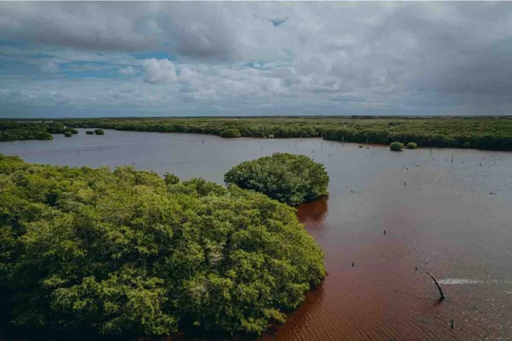 Salinización de acuífero amenaza agua dulce de comunidades costeras de Yucatán