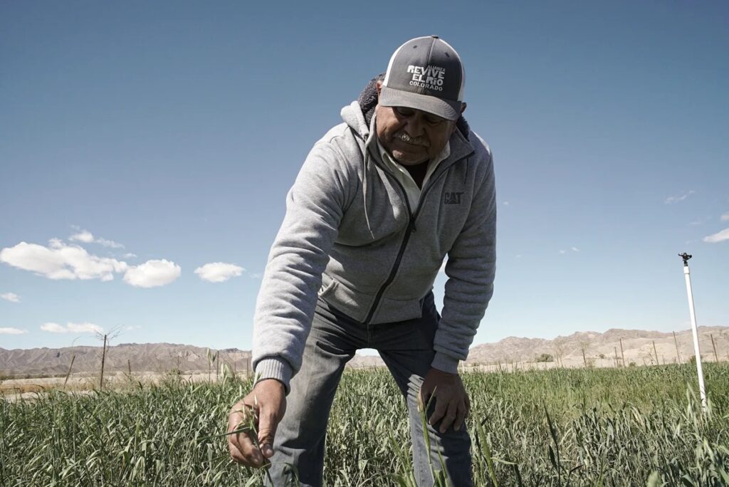 Alianza binacional reinventa la agricultura que depende del río Colorado