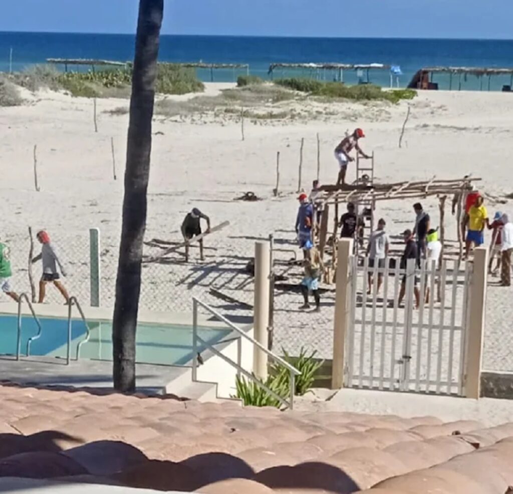 En Yucatán construyen estructuras tras tala ilegal