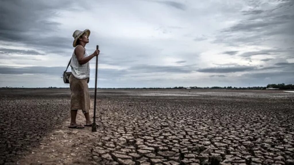 ONU urge a México a presentar plan climático ambicioso antes de la COP30