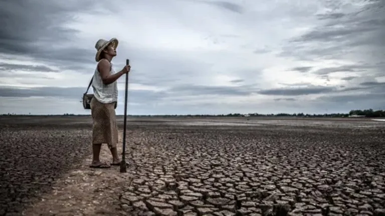 ONU urge a México a presentar plan climático ambicioso antes de la COP30