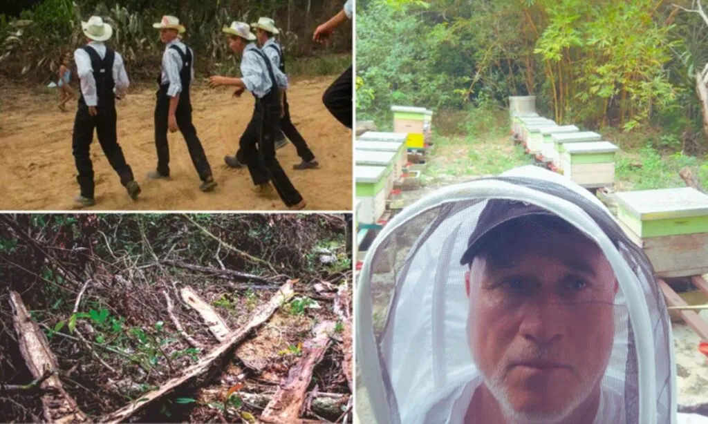 Los menonitas causan “ecocidio” en la Península de Yucatán