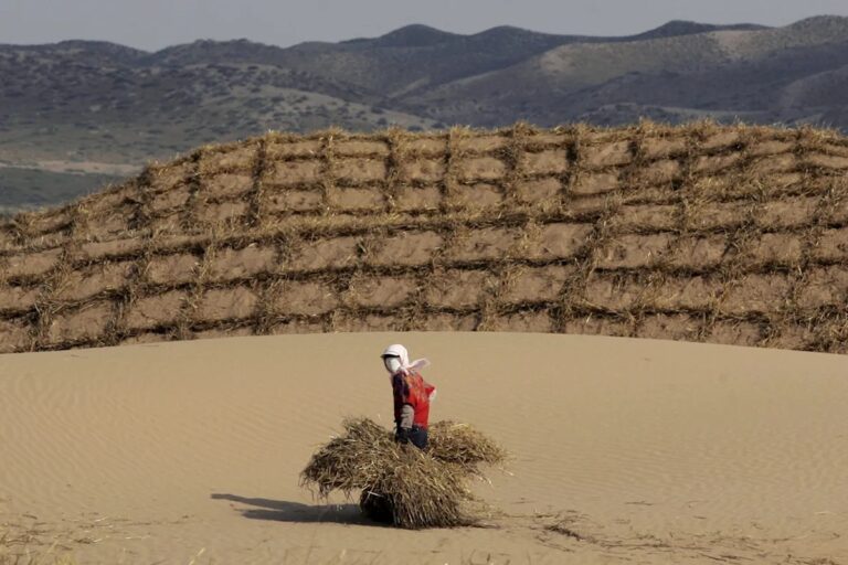 Científico de la ONU urge a atajar la degradación de la tierra