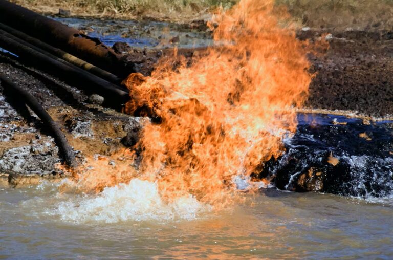 Niñas y jóvenes en lucha por la justicia climática en Ecuador