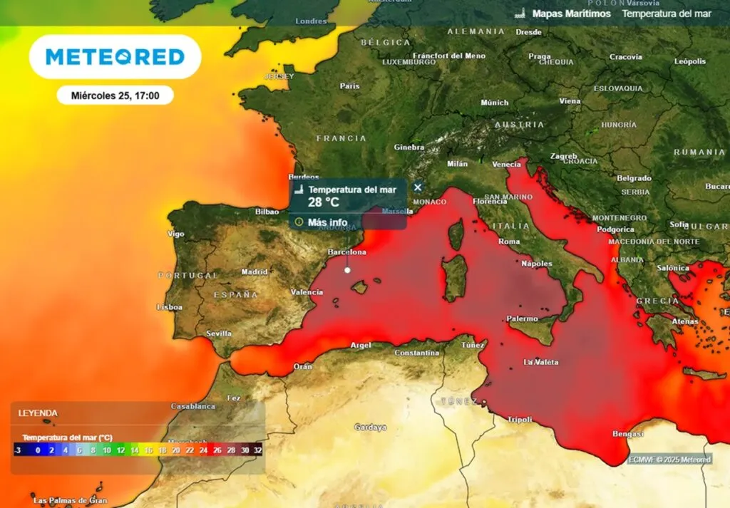 Mediterráneo occidental con ola de calor marina casi todo el año 2025