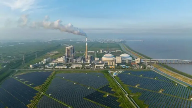 Cómo es que China ha logrado revertir sus emisiones de carbono