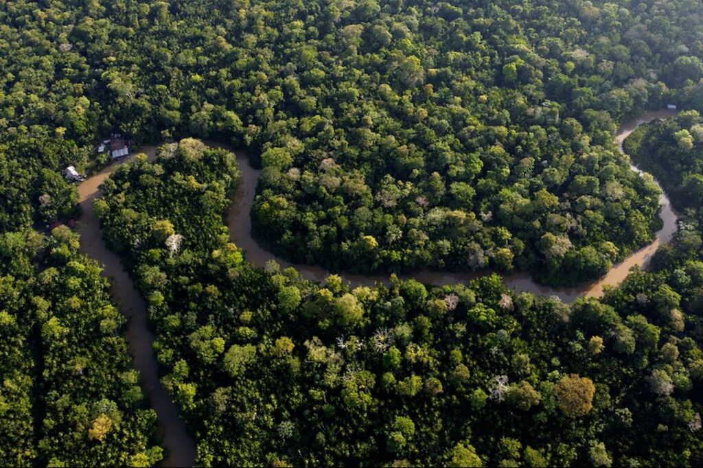 Revelan crítica situación de la Amazonía rumbo a la COP30