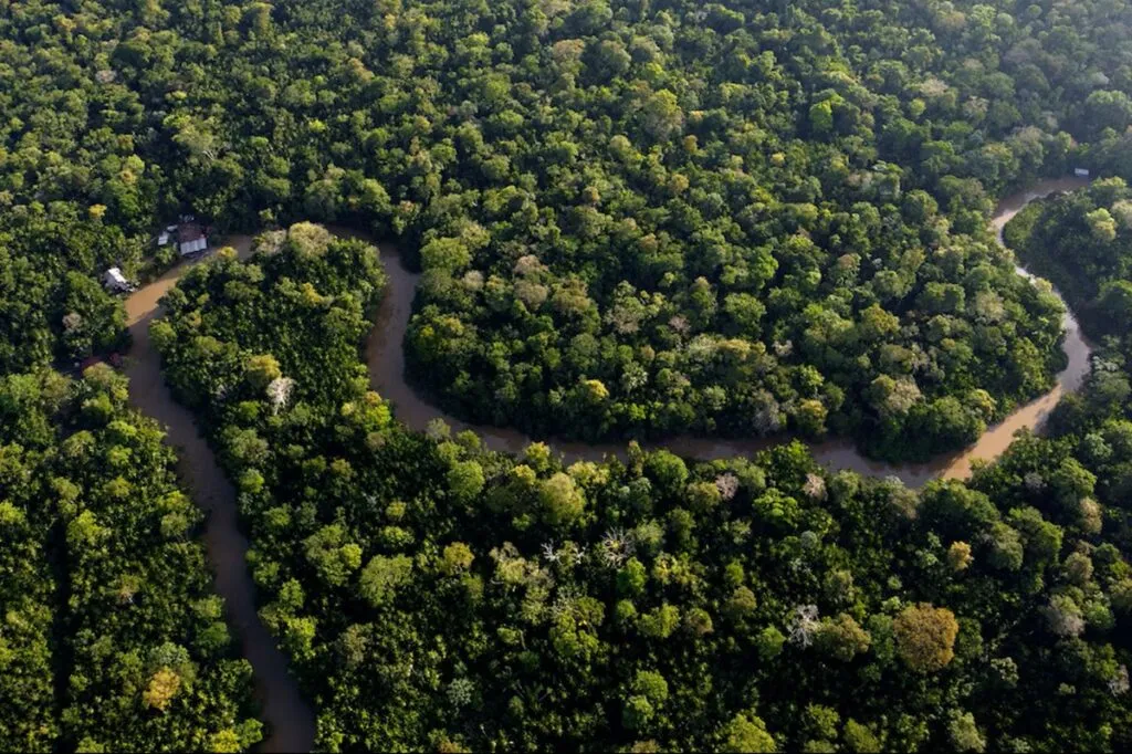 Revelan crítica situación de la Amazonía rumbo a la COP30