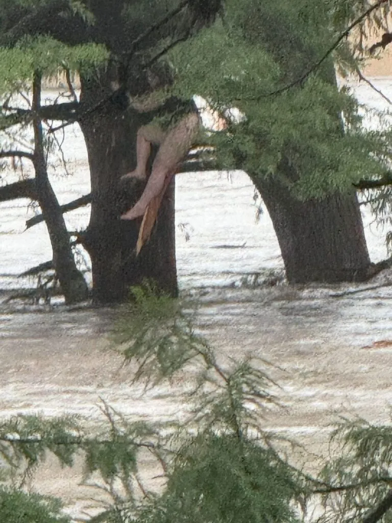 Las mortales inundaciones de Texas presagian las “nuevas tormentas perfectas”