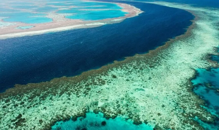 Estudio revela preocupación por la Gran Barrera de Coral
