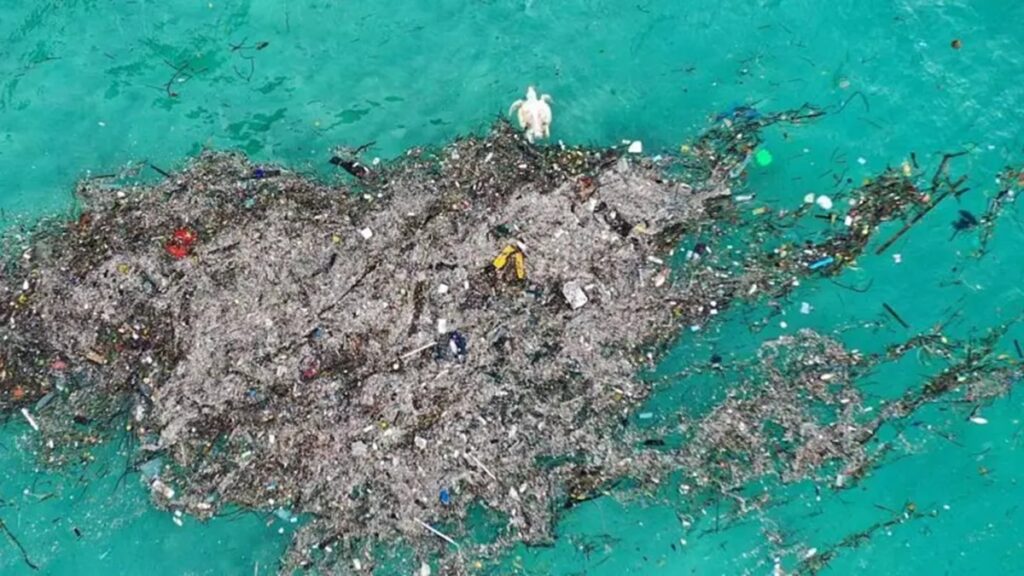 Contaminación plástica afecta ya a futuras generaciones, señala embajador de Ecuador