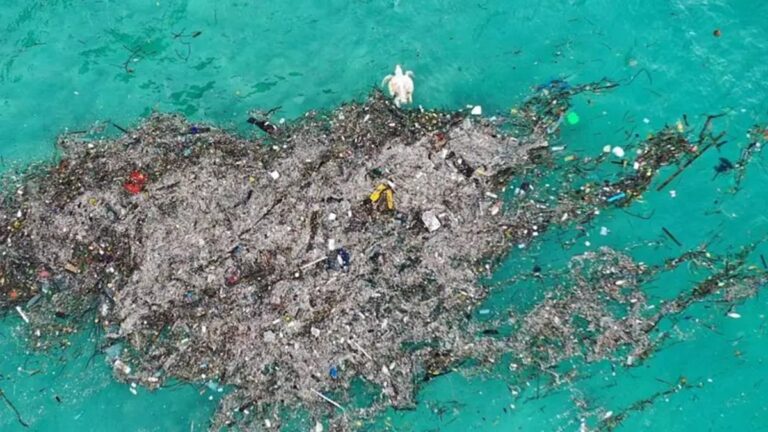 Contaminación plástica afecta ya a futuras generaciones, señala embajador de Ecuador