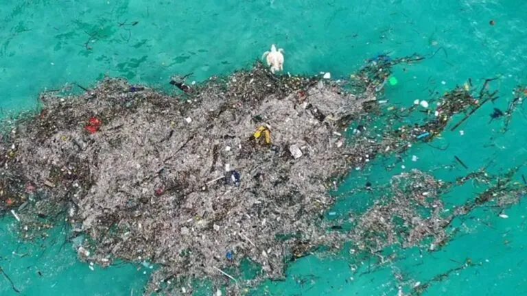 Contaminación plástica afecta ya a futuras generaciones, señala embajador de Ecuador