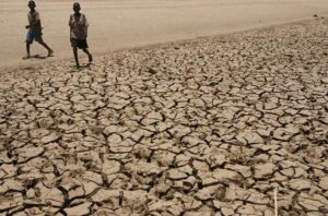 Doce países de África y Asia en riesgo extremo de sequías