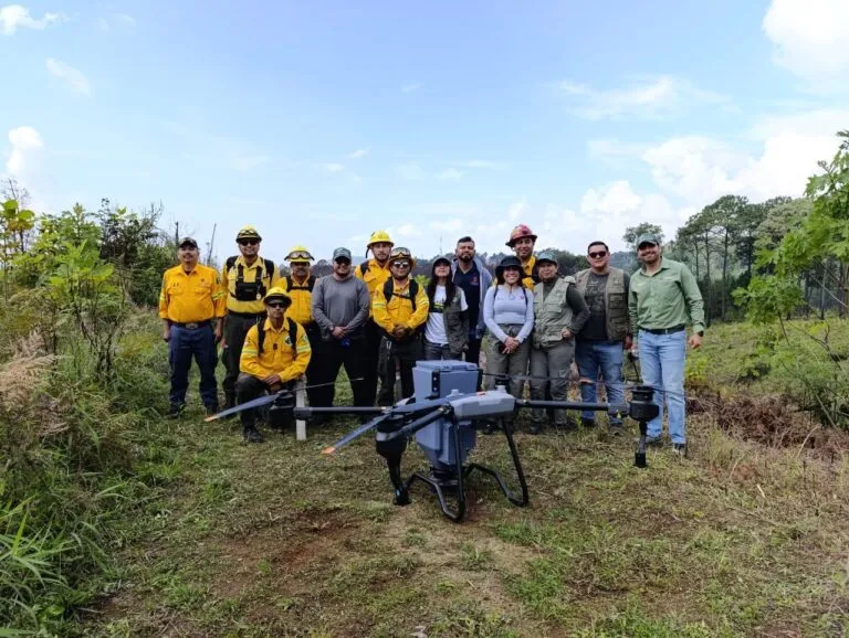 México apuesta por drones para reforestar bosques