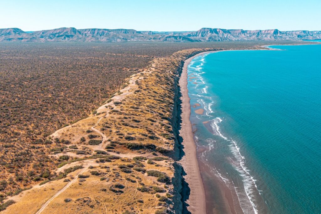 Baja California Sur innova en turismo sostenible con modelo de financiamiento: Daniel Madariaga Barrilado