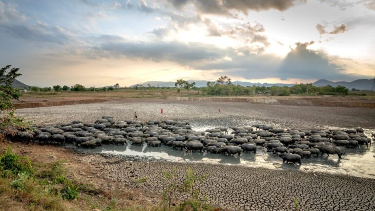 Ciudades enfrentan sequías extremas sin precedentes