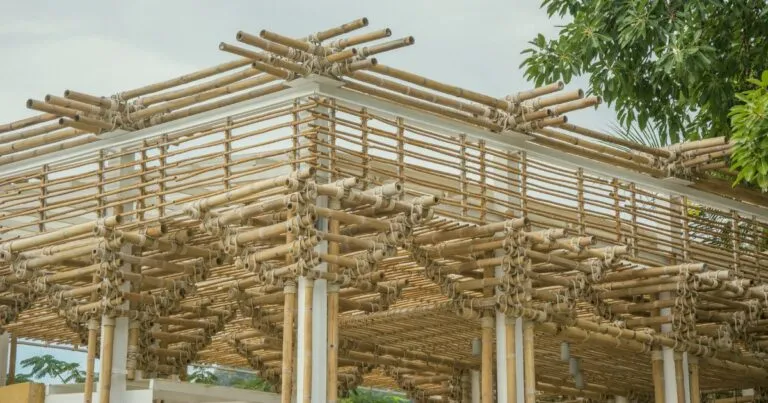 Bambú: el material que desafía los sismos