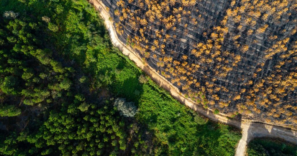 Europa en crisis climática: alerta por degradación y pérdida de biodiversidad