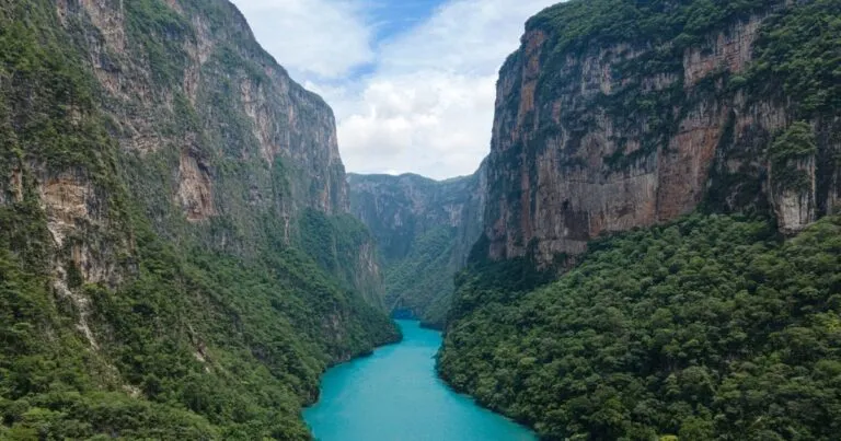 México frente a la crisis climática con menos presupuesto ambiental