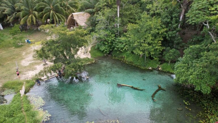 Semarnat niega autorización ambiental a la Sedena en Quintana Roo