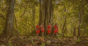 Belém y la urgencia de justicia climática en plena COP30