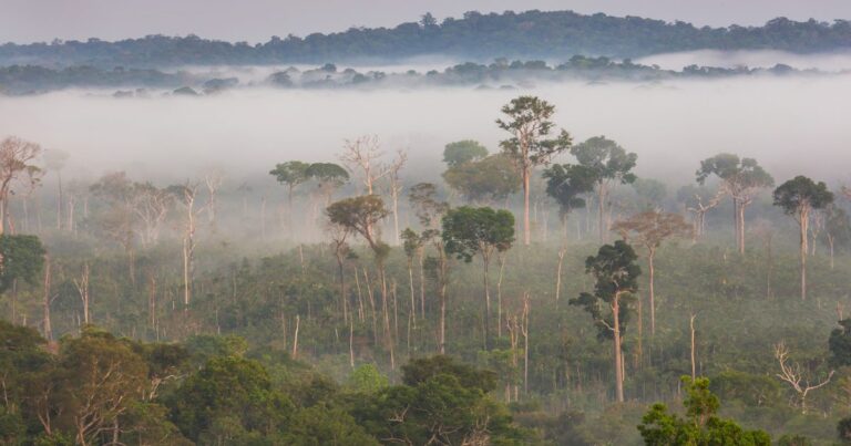 Colombia impulsa blindaje total de Amazonía
