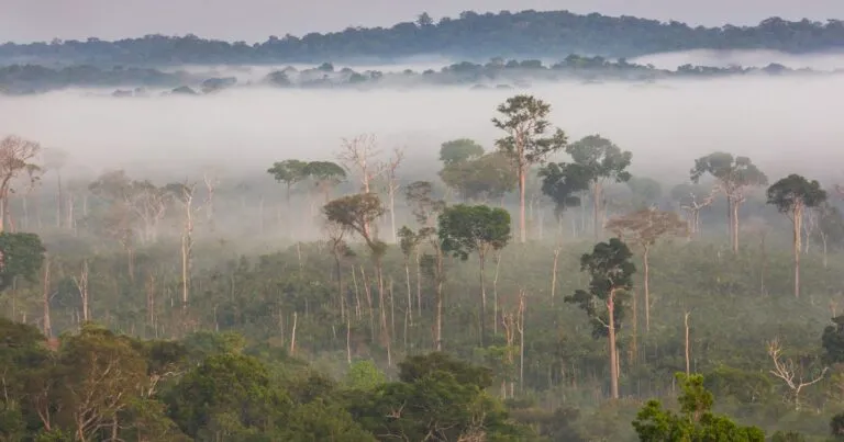 Colombia impulsa blindaje total de Amazonía