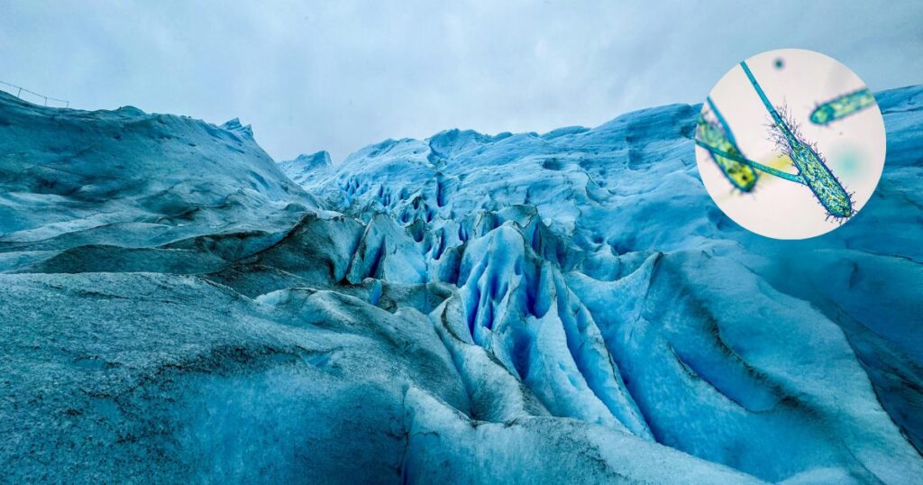 Microbios antiguos despiertan en el permafrost: qué significa para el clima